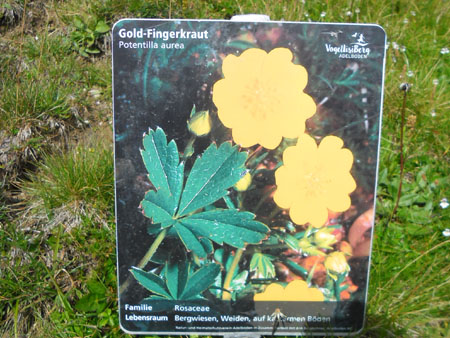 speciaal voor James Bond