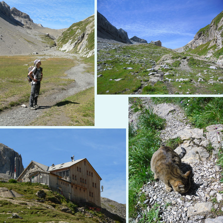 op weg naar de hut, Wildhornhutte, huttenkat met buit