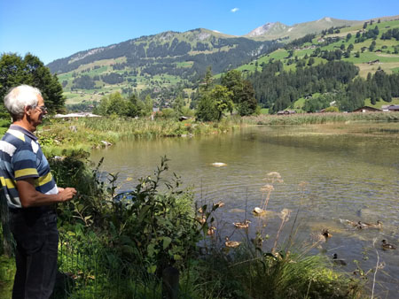 voor de laatste keer eendjes voeren