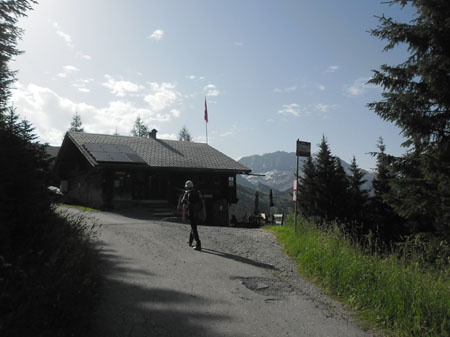 Laubbargli