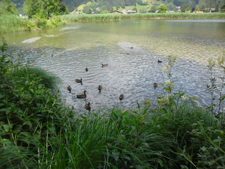 nog eens Lenkersee
