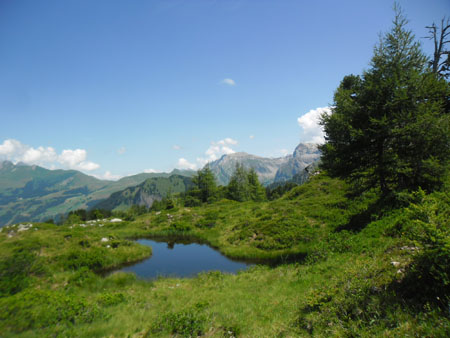 hochmoor Hohberg