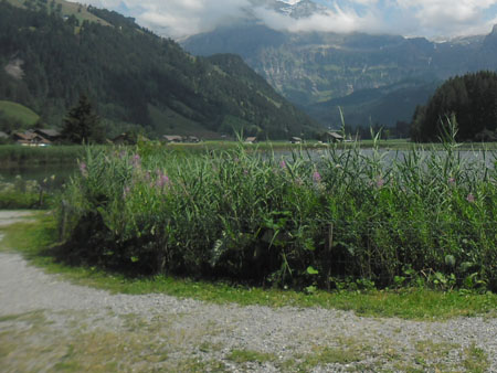 rondje Lenkersee