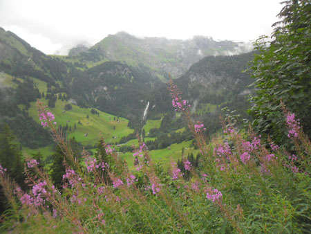 heiig uitzicht