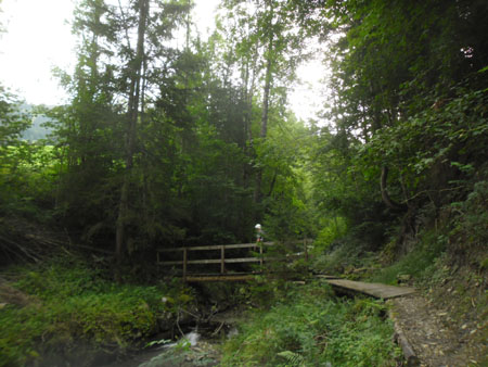 dit bruggetje nemen we wel