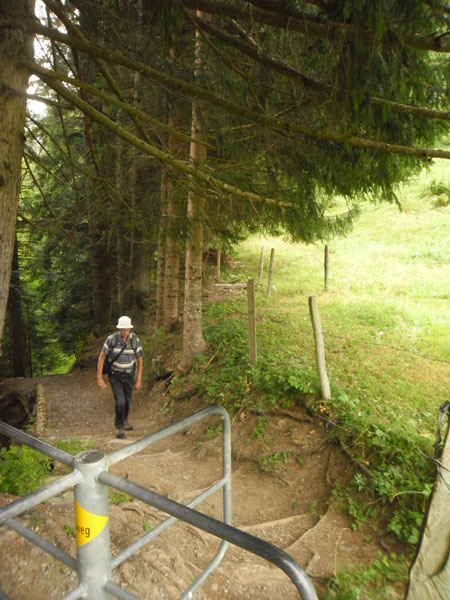 op weg naar Poschenried