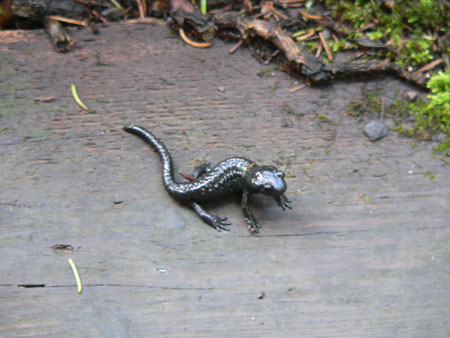 de enige in deze vakantie