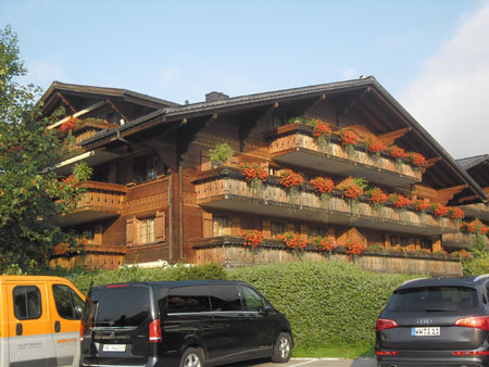 een overvloed aan geraniums