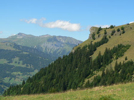 Metschhorn