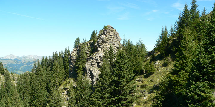 de formidabele Wasserngrat