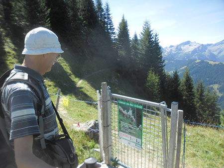 hier grazen (geen) lamas