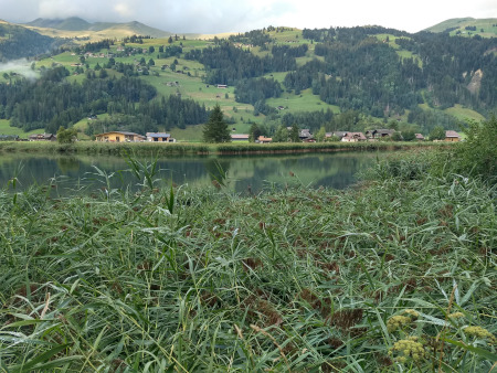 Lenkersee