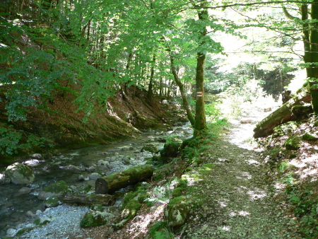 Buuschebach