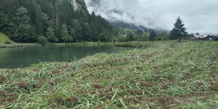Lenkersee na een hoosbui