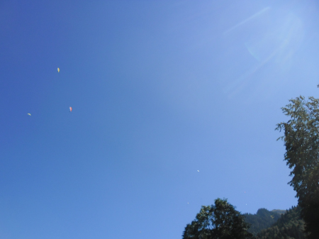 paragliders