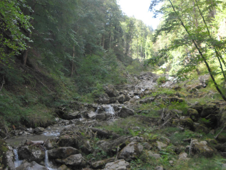 weinig water