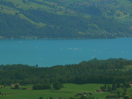 drukte op de Thunersee