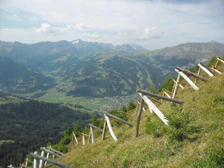 Simmental links