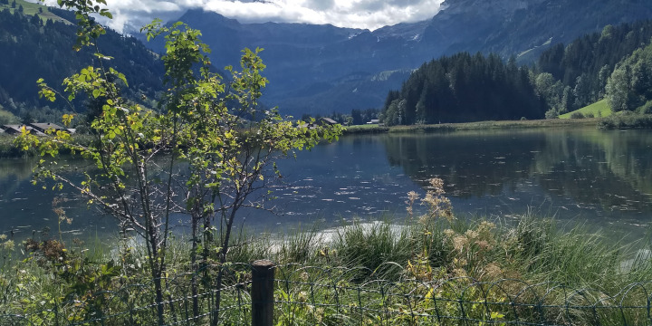Lenkersee