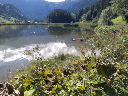 rust op de Lenkersee