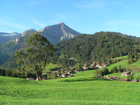 zicht op het Saanenland