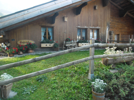 tuin-edelweiss
