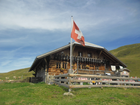 Stieretungel