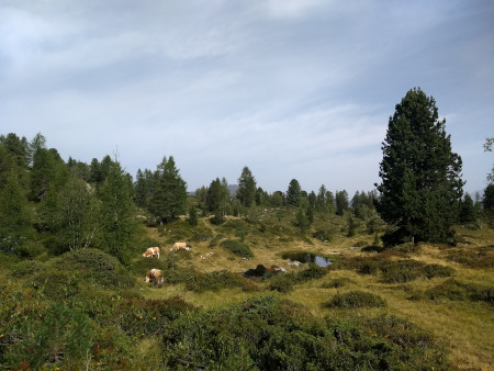 bij het hochmoor