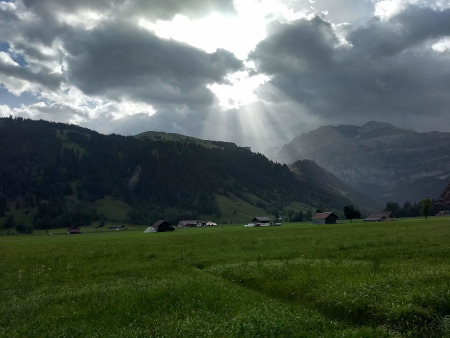 zonneharp