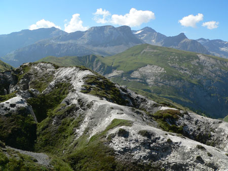 Gryden