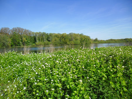 volop look-zonder-look