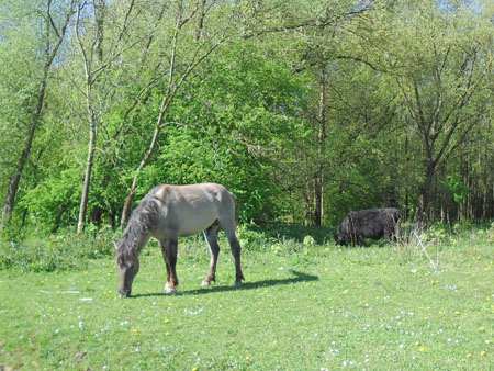 zij houden het hier kort