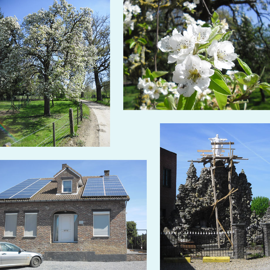 bloesemtijd, pas op het afstapje, Jezus in de steigers