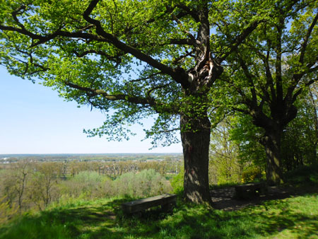uitzicht bij het Bunderbos