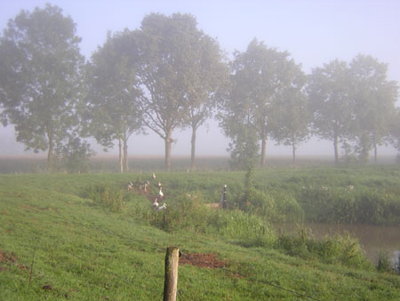 de Logt in de mist