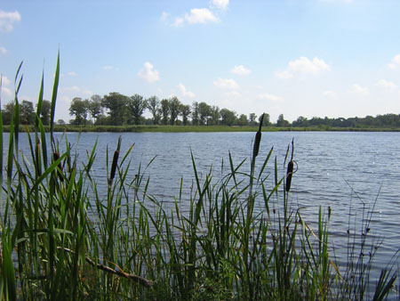 Belversven