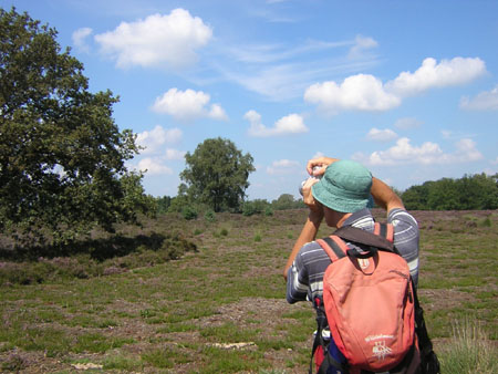 de Kampina is een plaatje waard