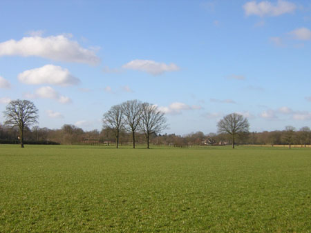 weids uitzicht