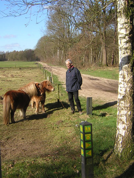 eindelijk aandacht