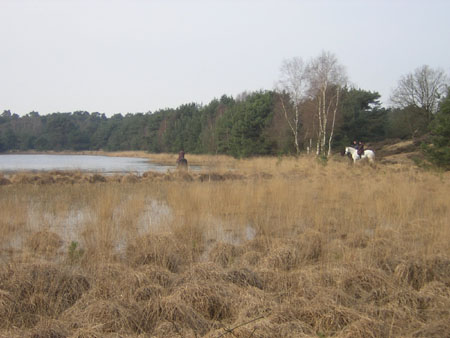 ven met paarden