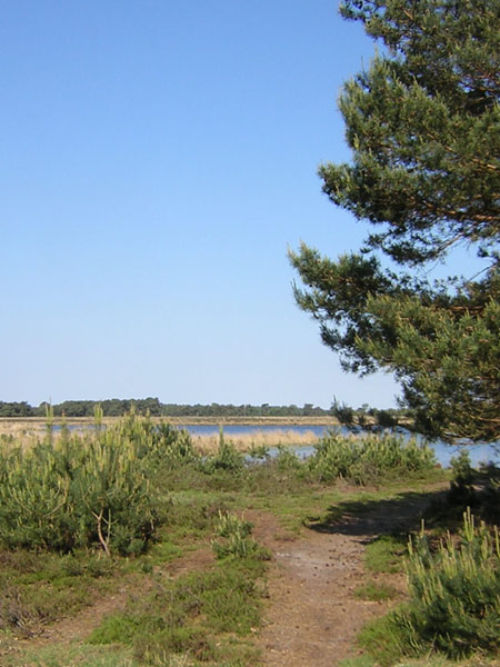 Beuven