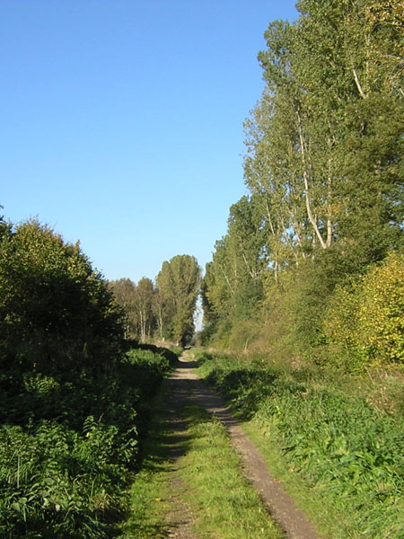 op de landsgrens