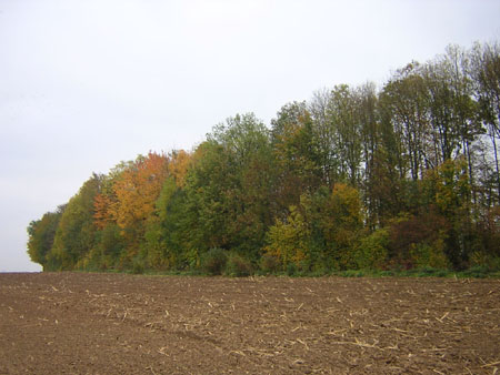 het is echt herfst