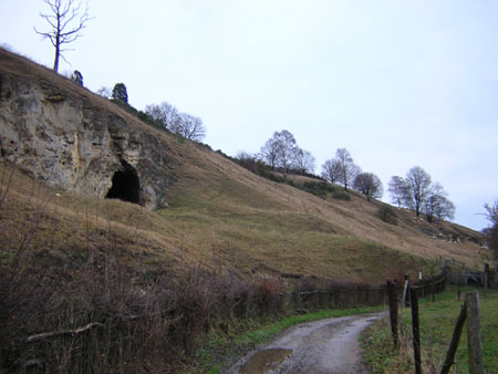 schapen