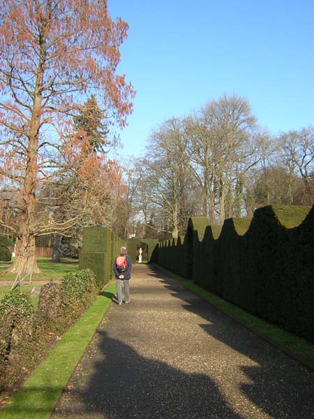 bewerkelijke heg