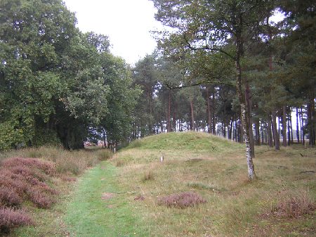 grafheuvel op het Balloerveld