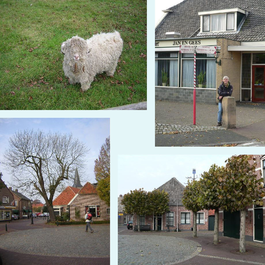een zeer harig schaap, aankomst in Gramsbergen, plein en leilinden in Gramsbergen