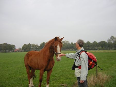wel een beetje schichtig