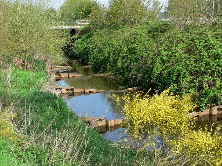 zo komen de vissen stroomopwaarts