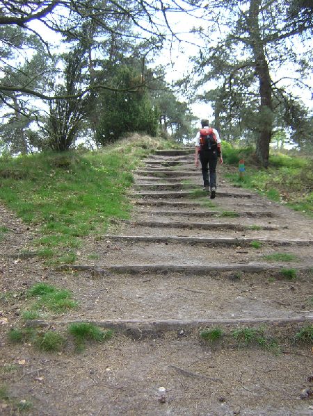 naar de top van de Archemerberg